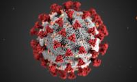 Covid virus close up
